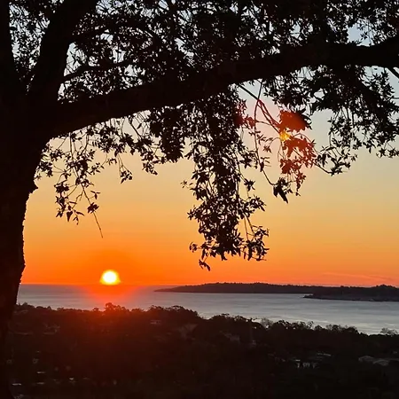 아파트 Les Restanques Du Golfe De Saint Tropez Aussergewoehnlicher Meerblick Wlan